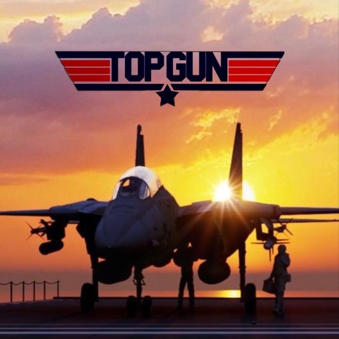 Logo di TOP GUN